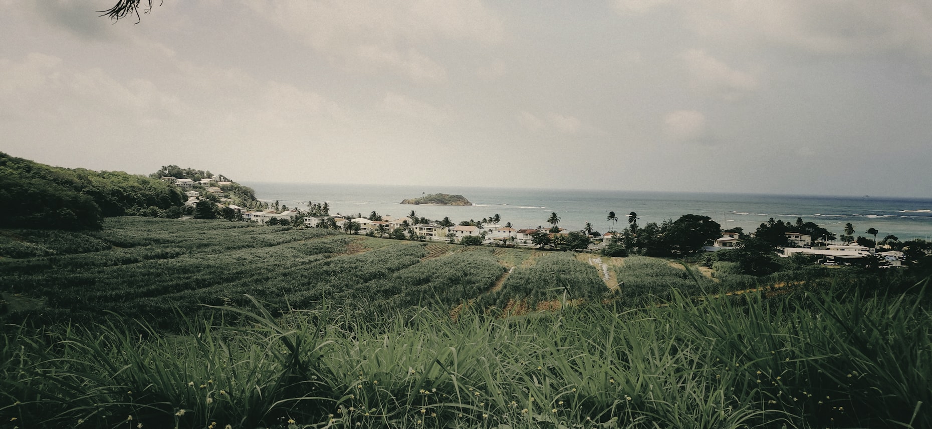 Location véhicule Martinique
